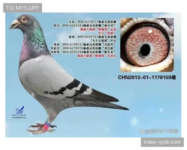 巴黎-鲁贝女子组前十:科赫冠军,沃斯亚军,费朗-普雷沃季军网页 巴黎-鲁贝女子组前十:科赫冠军,沃斯亚军,费朗-普雷沃季军网页